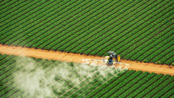 Best Best Pest Control Companies  in Coldspring, TX