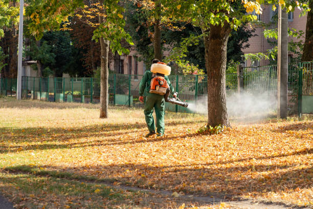 Insect Control in Coldspring, TX
